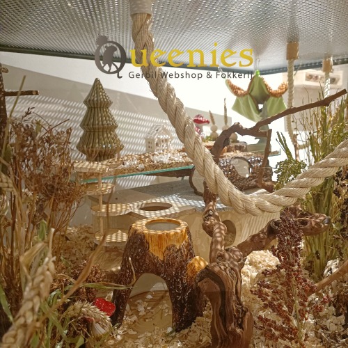 Touw Zitstok voor Knaagdieren